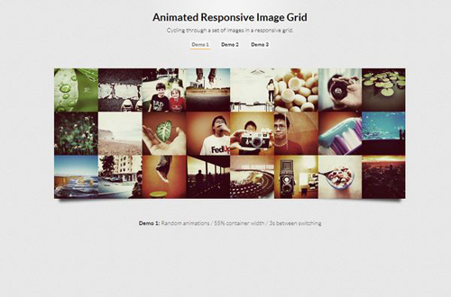 Animated Responsive Image Grid